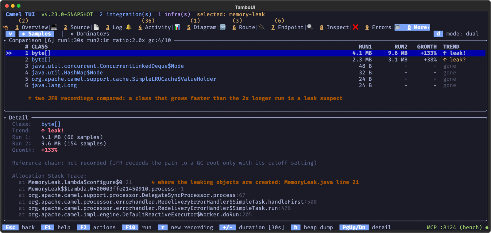 Two recordings compared: byte arrays grow 133% and are flagged as a leak